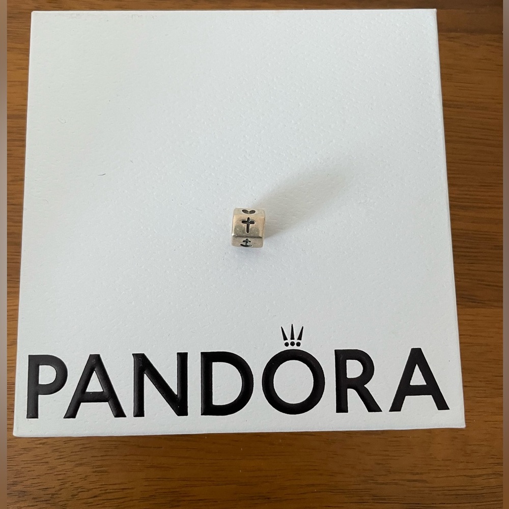 Pretty Pandora Charm